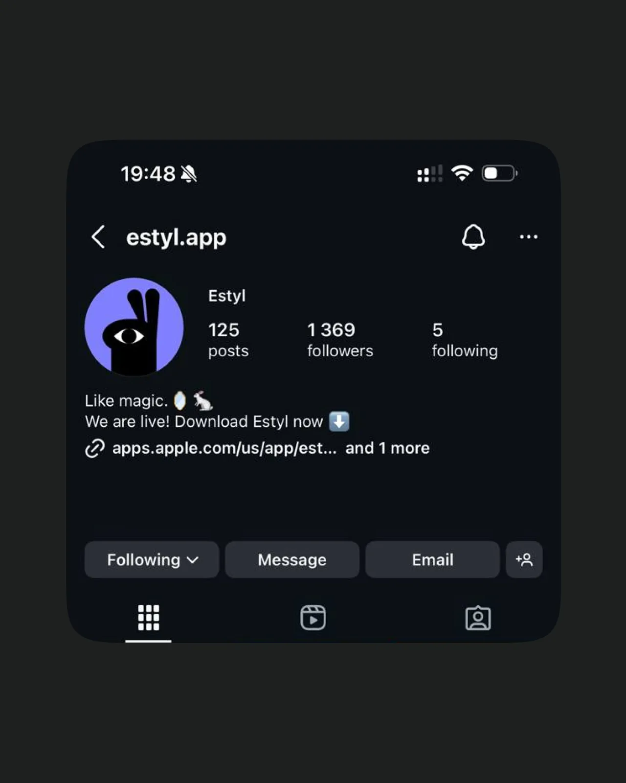 The Estyl Instagram profile