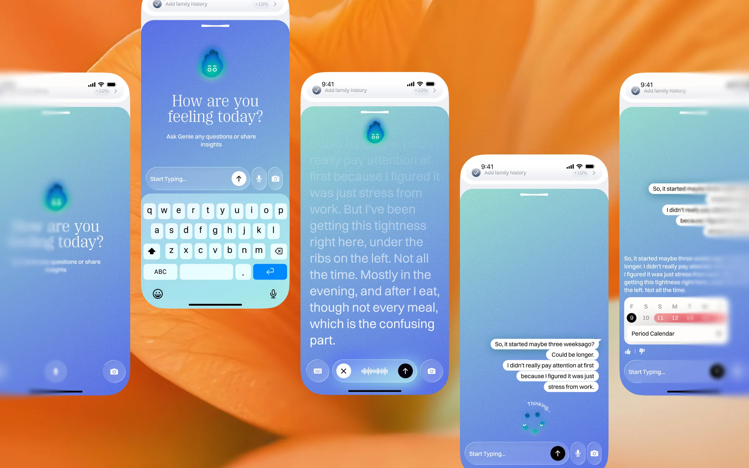 Chat with the assistant